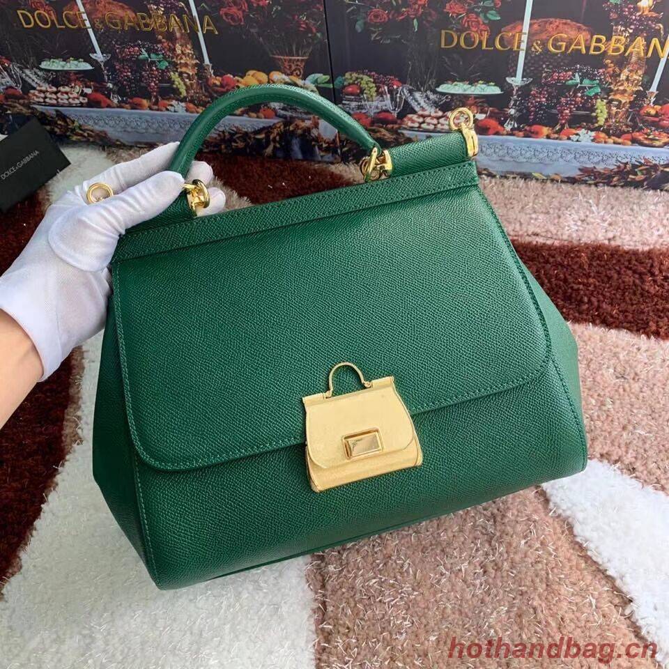 Dolce & Gabbana Origianl Leather Bag 4131 green