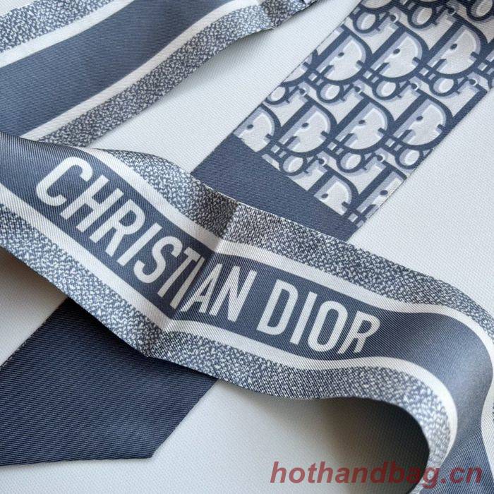 Dior Scarf DIS00007