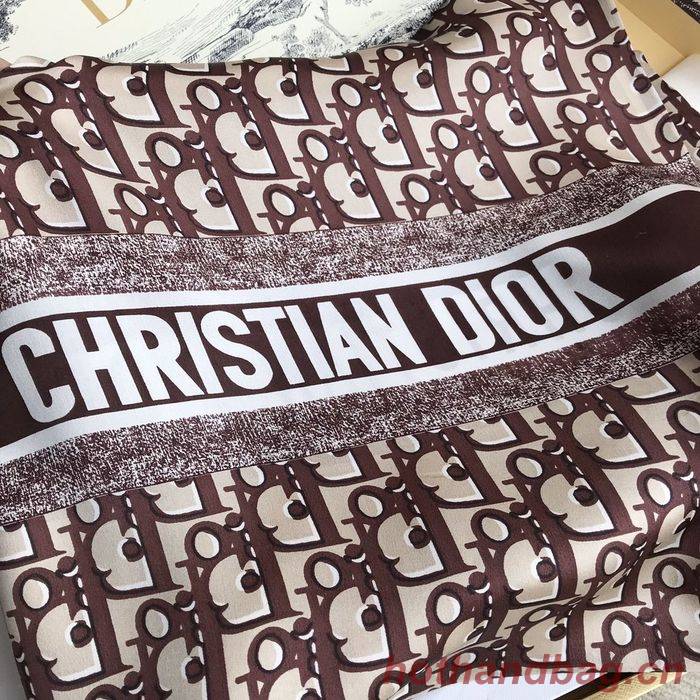 Dior Scarf DIS00073