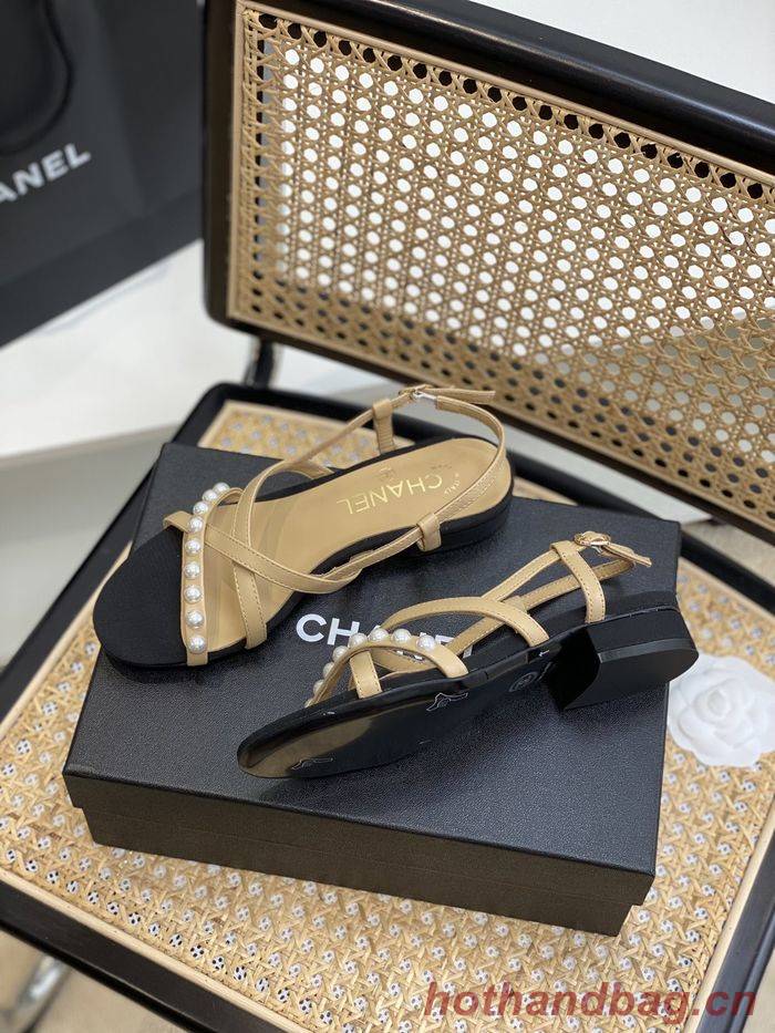 Chanel Shoes CHS00667