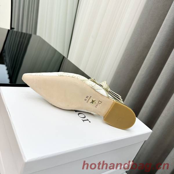 Dior Shoes DIS00359