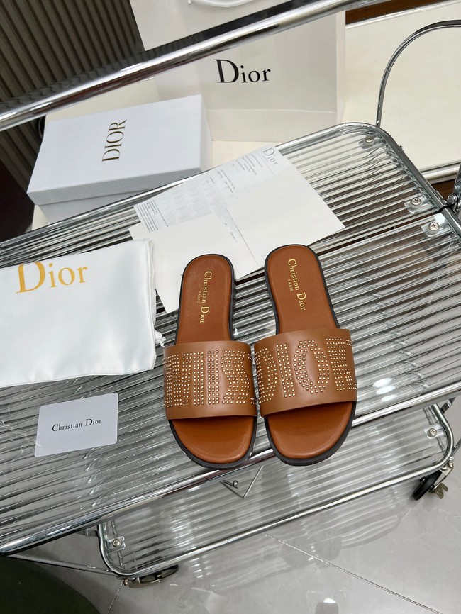 Dior Dway Slide Calfskin and Gold-Finish Studs KCO138CT-1