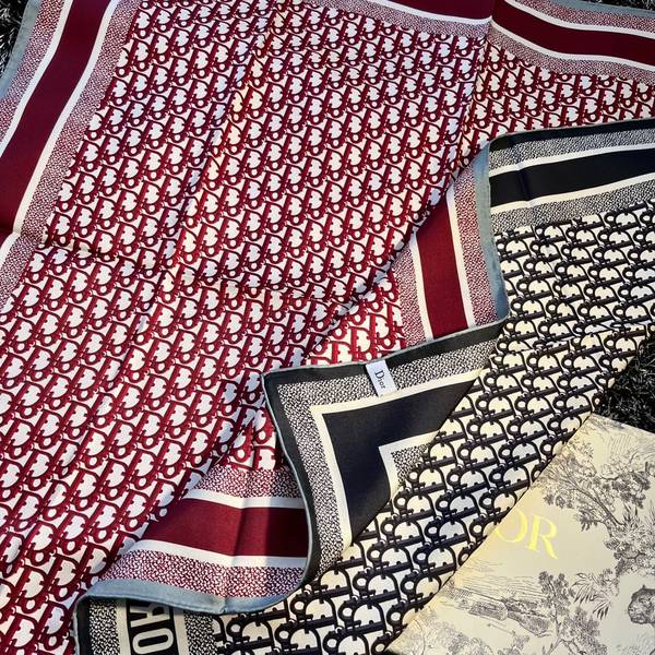 Dior Scarf DIC00404
