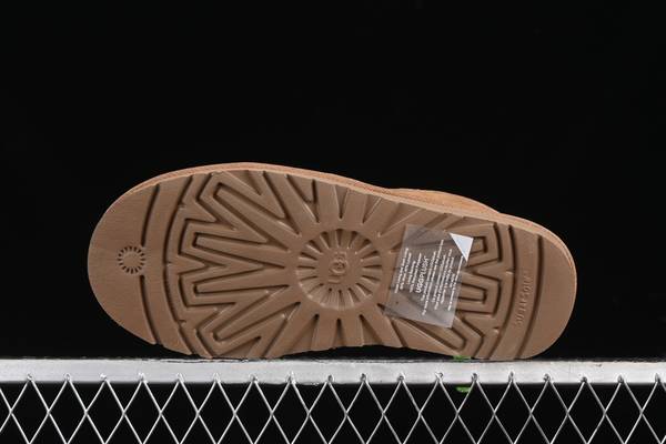 UGG Shoes UGS00017
