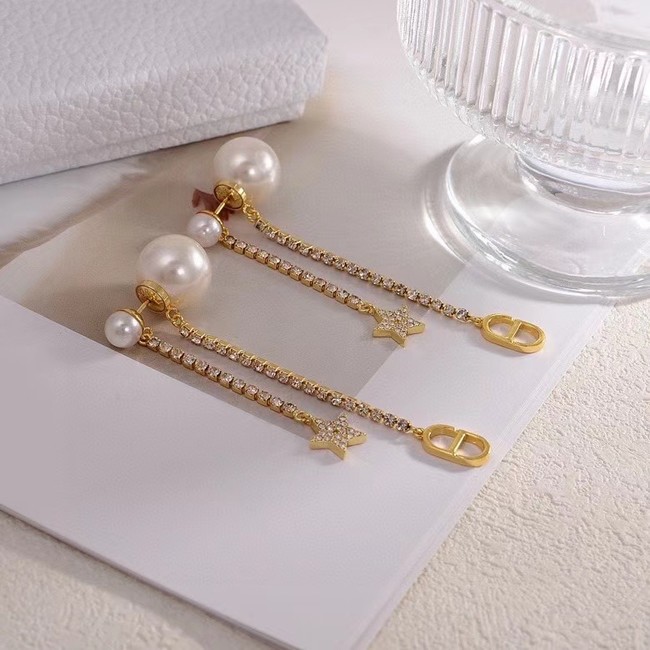Dior Earrings CE15668