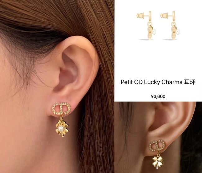 Dior Earring CE16364