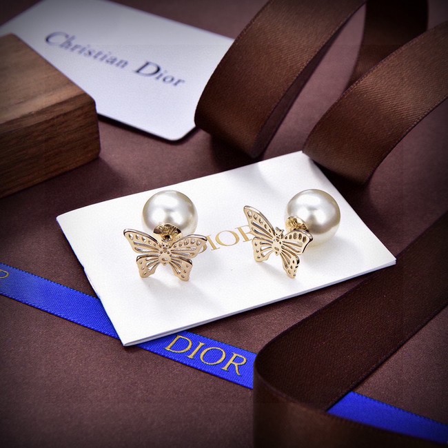 Dior Earring CE16572