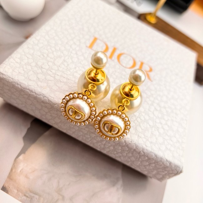 Dior Earring CE16575