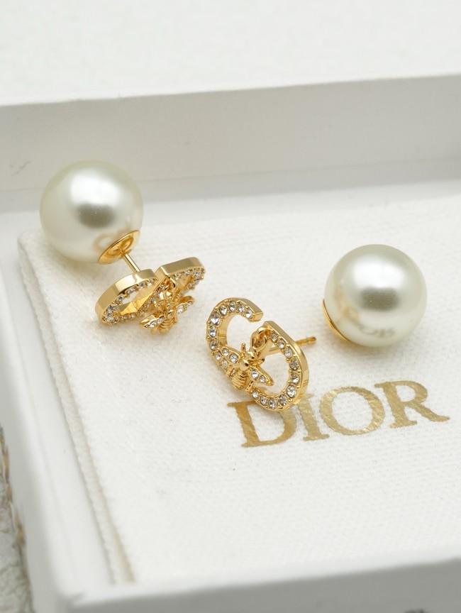 Dior Earring CE16634