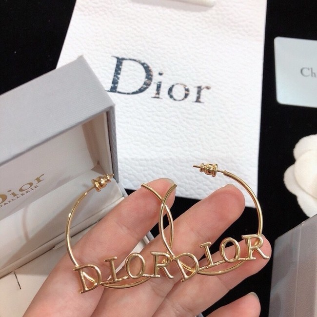Dior Earring CE16719