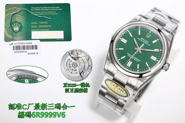 Rolex Watch RXW00864-1