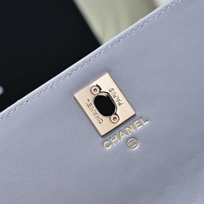 Chanel WALLET ON CHAIN AP4300 gray