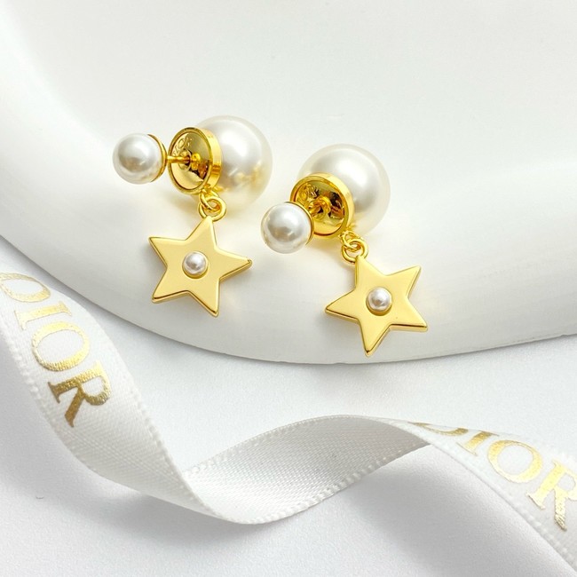 Dior Earring CE16840