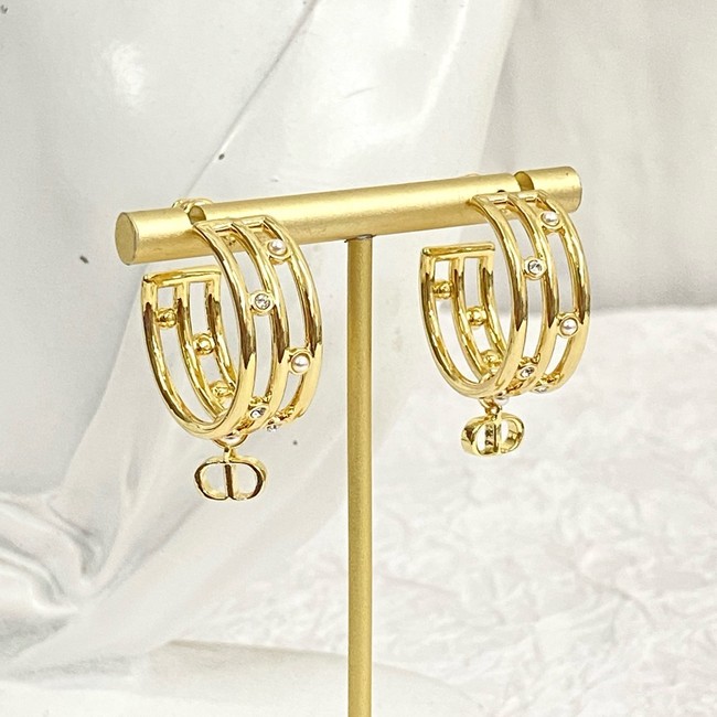 Dior Earring CE16833