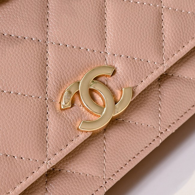 Chanel PHONE HOLDER WITH CHAIN AP3019 PINK