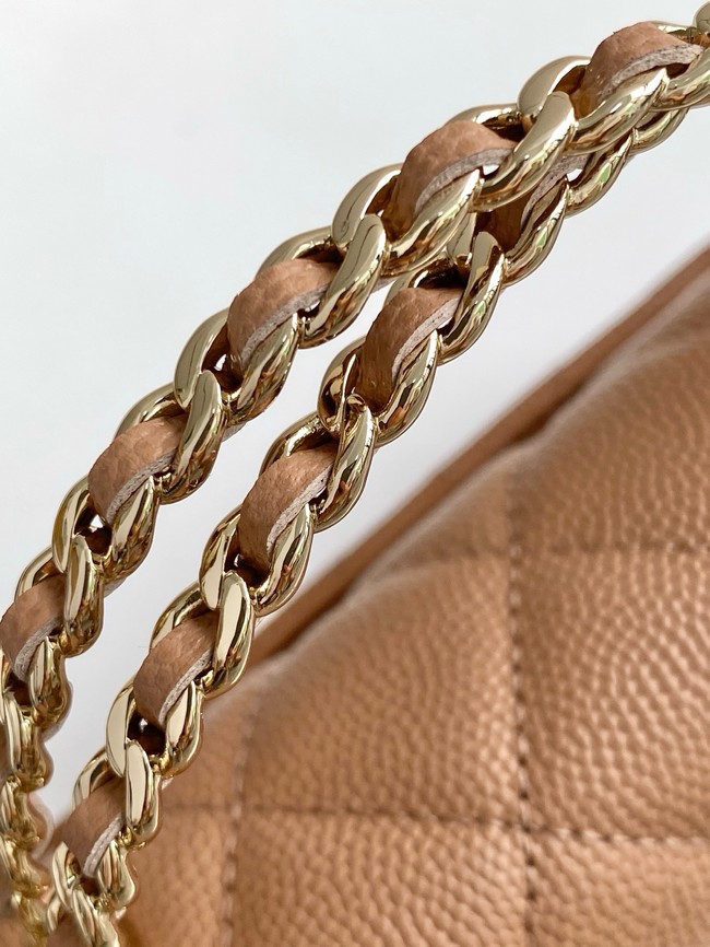 Chanel MINI FLAP BAG CLUTCH WITH CHAIN Gold-Tone Metal AP3238 brown