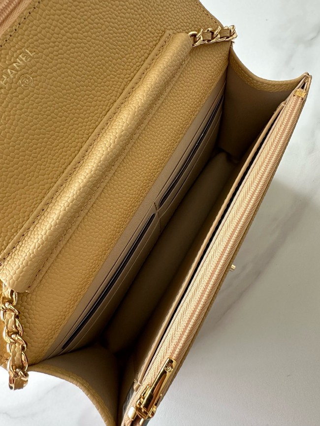 Chanel Classic Wallet On Chain Grained Calfskin AP4241-19