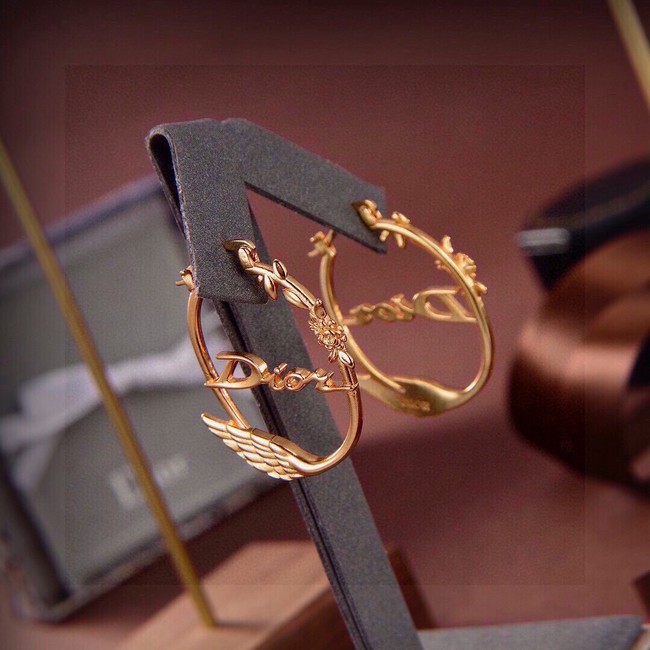 Dior Earring CE17014