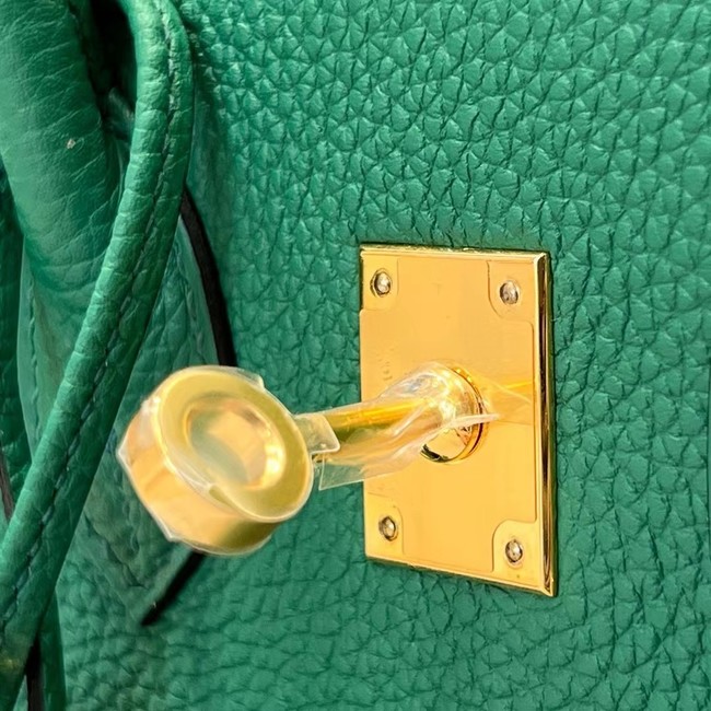 Hermes Birkin Bag Leather togo 5569 green
