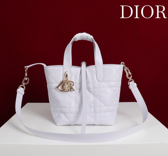 Small Dior Toujours Vertical Tote Bag M2835OSNW white