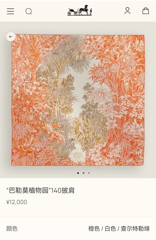 Hermes Shawl Cashmere and Silk Jacquard KY084