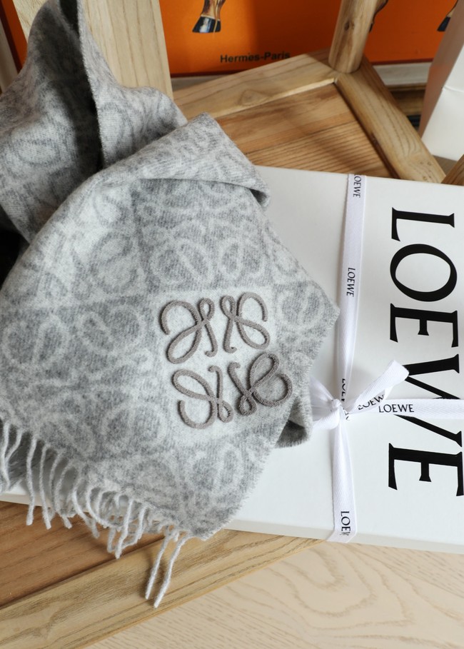 Loewe Cashmere Scarf 06382