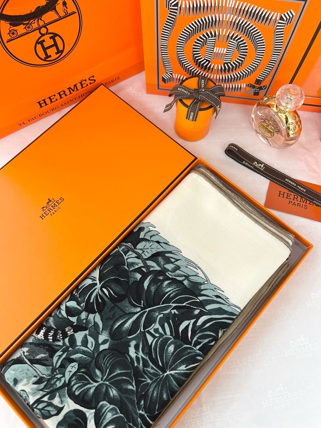 Hermes Shawl Cashmere and Silk 06397