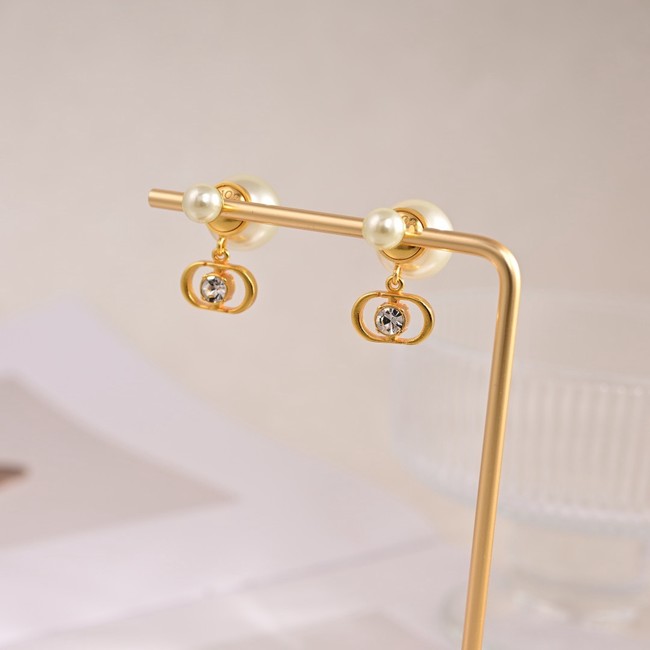 Dior Earring CE81698