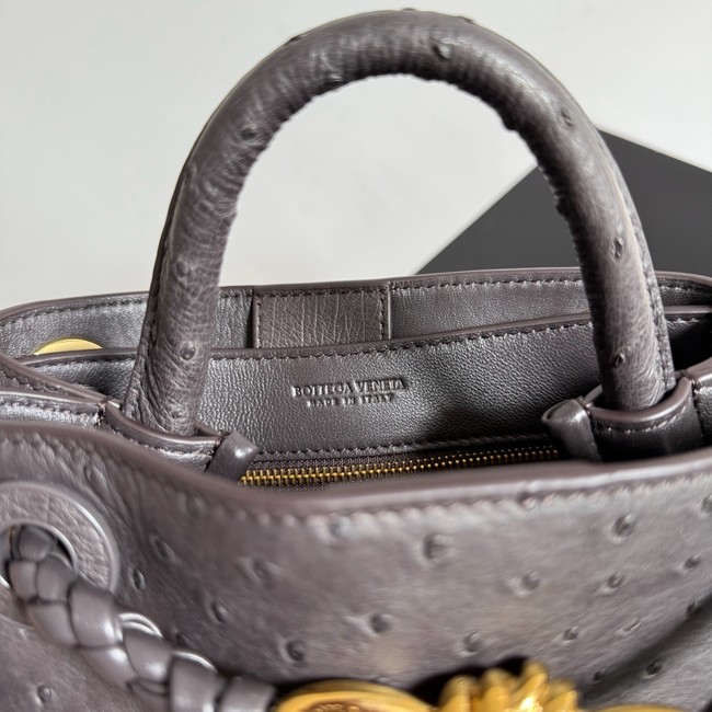 Bottega Veneta Mini Andiamo Sapele 805232 Fondant