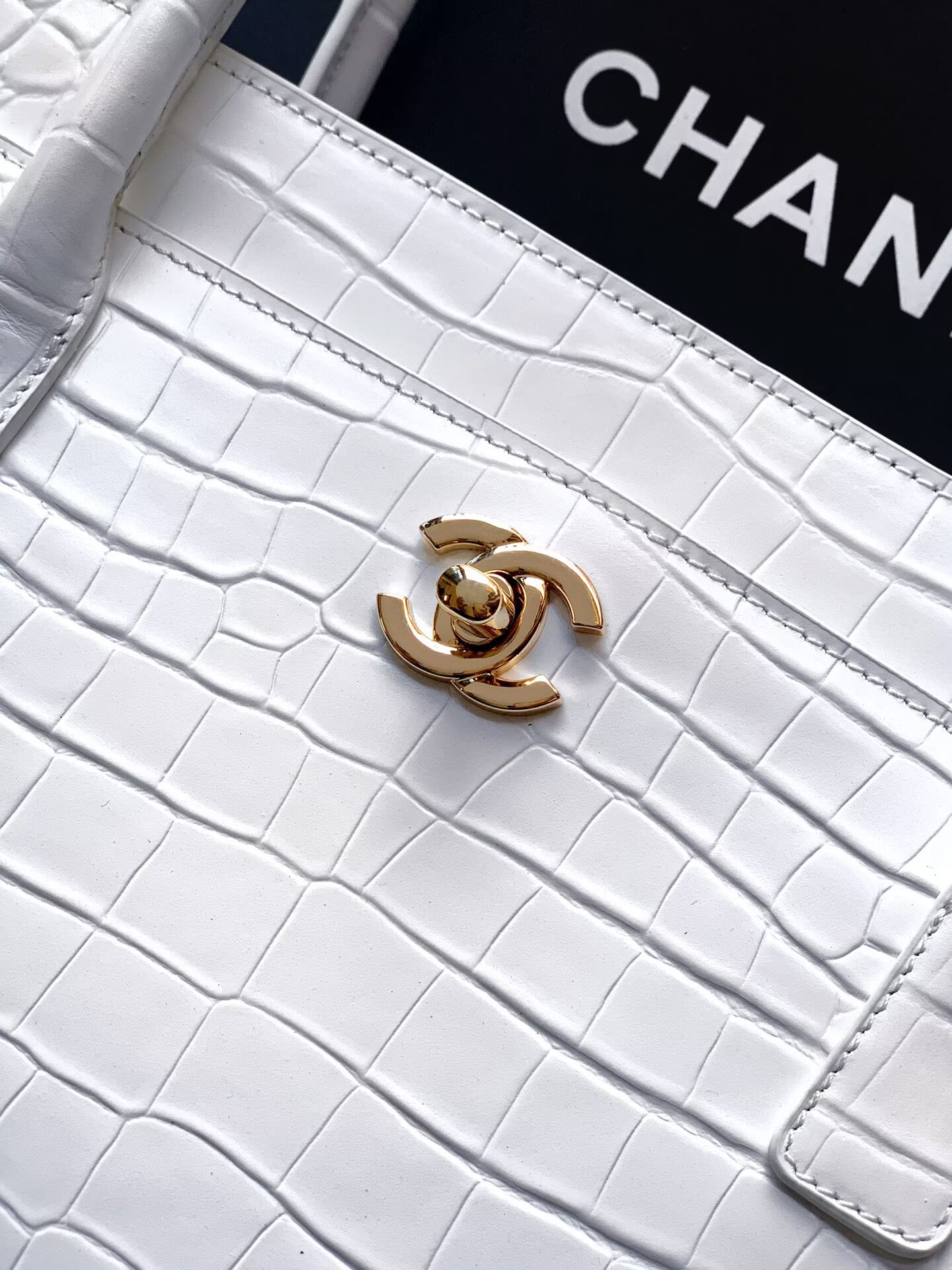 Chanel 2026SS Original Crocodile Leather A31021 White