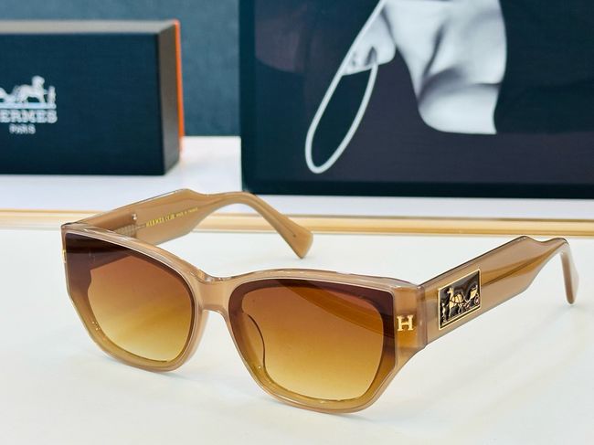 Hermes Sunglasses 821518-2