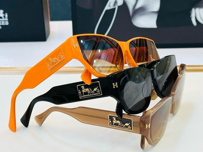 Hermes Sunglasses 821518-6