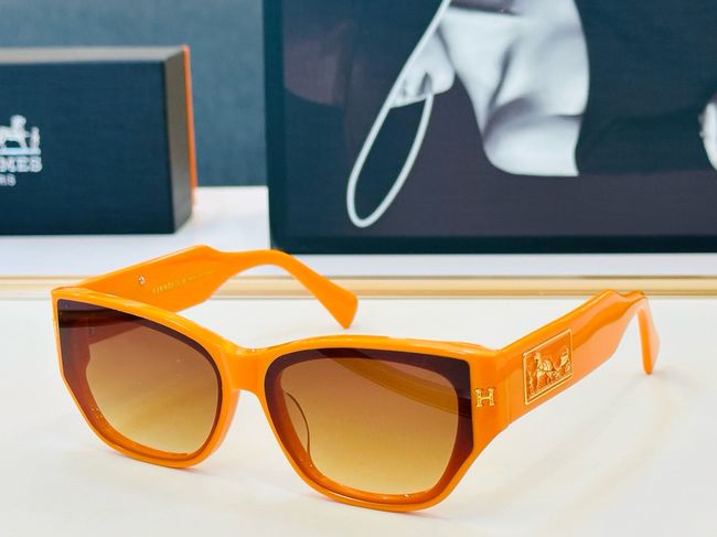 Hermes Sunglasses 821518-6