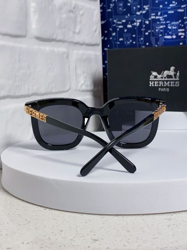 Hermes Sunglasses 821519-2