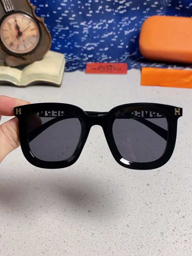 Hermes Sunglasses 821519-2