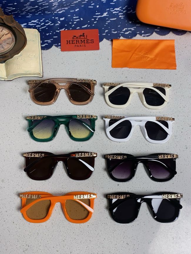Hermes Sunglasses 821519-2