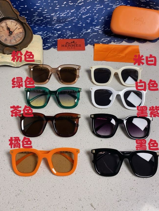 Hermes Sunglasses 821519-2