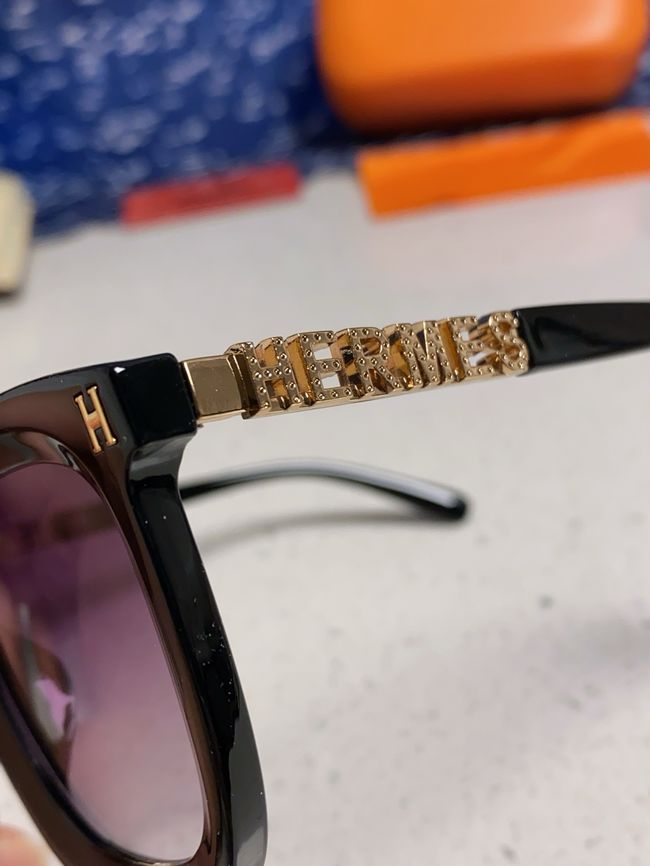 Hermes Sunglasses 821519-3