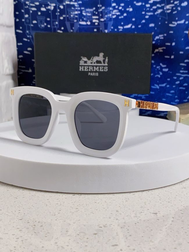 Hermes Sunglasses 821519-4