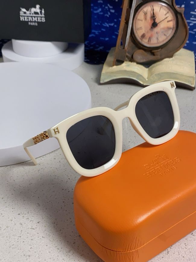 Hermes Sunglasses 821519-5 Hermes Sunglasses 821519-5