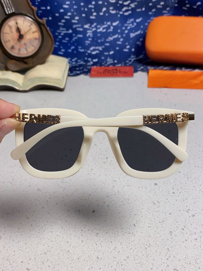 Hermes Sunglasses 821519-5 Hermes Sunglasses 821519-5
