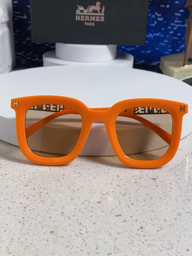 Hermes Sunglasses 821519-6