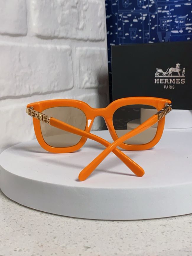 Hermes Sunglasses 821519-6