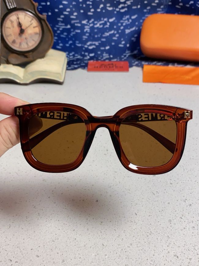 Hermes Sunglasses 821519-7 Hermes Sunglasses 821519-7