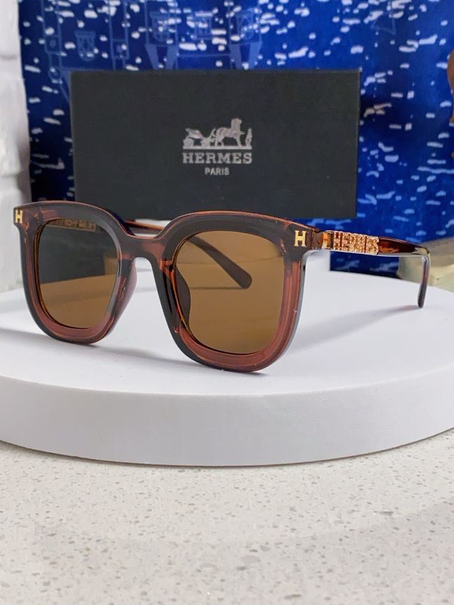 Hermes Sunglasses 821519-7