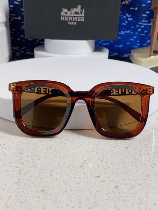 Hermes Sunglasses 821519-7 Hermes Sunglasses 821519-7
