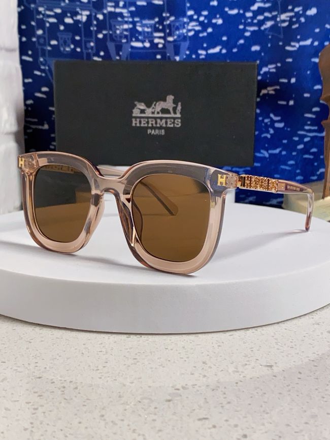 Hermes Sunglasses 821519-9
