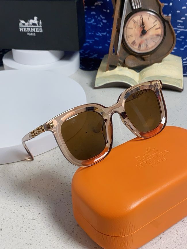 Hermes Sunglasses 821519-9