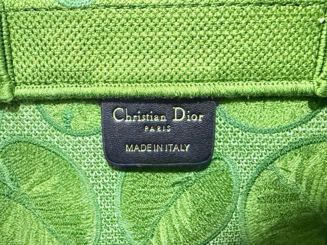 Small Dior Book Tote with Strap Embroidered M1404OE-13