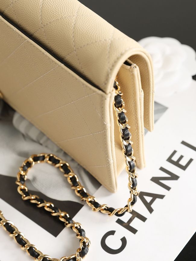 CHANEL Wallet on Chain AP5455 Beige & Black